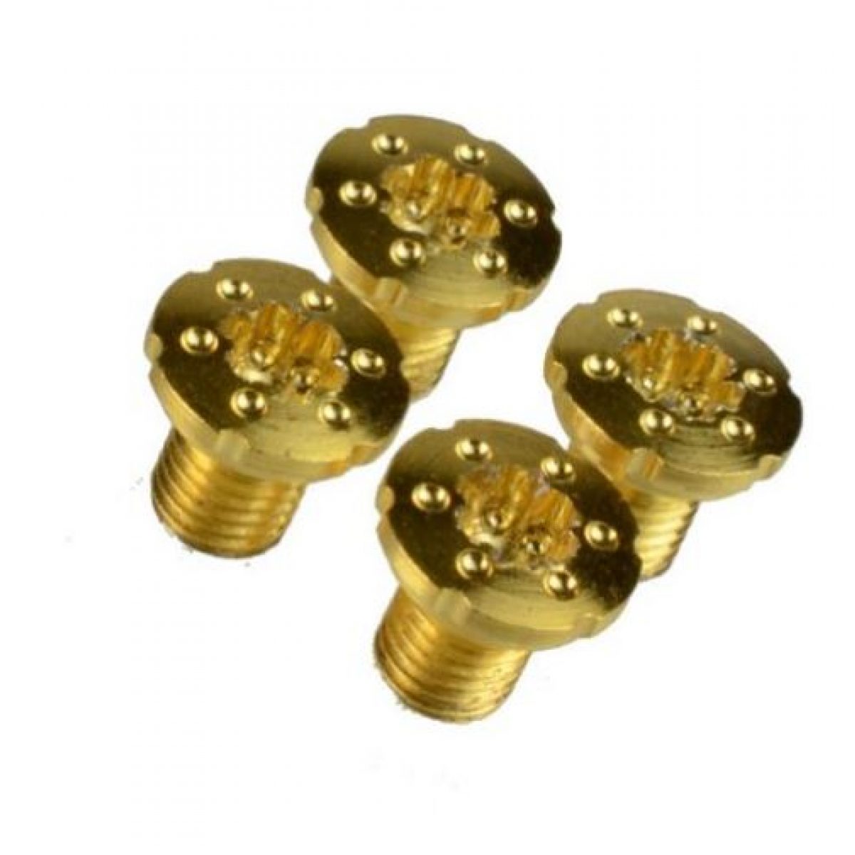 products goldscrew2