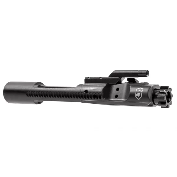 BCG m16 main